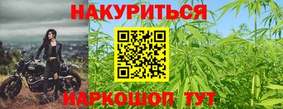 mdpv Новозыбков