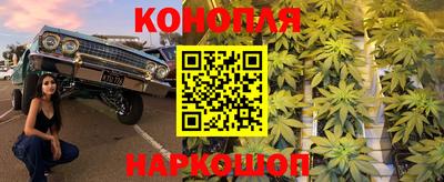 mdpv Новозыбков