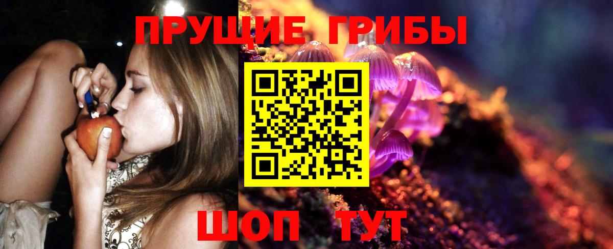 Псилоцибиновые грибы Psilocybe  Вход с VPN  Тара 